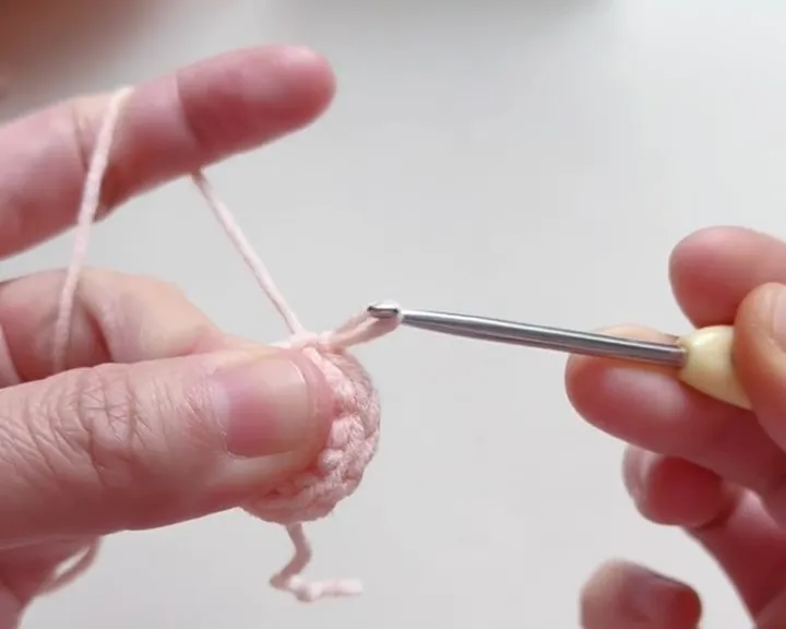 At the end of each round, join to the first stitch with a slip stitch. At the end of each round, join to the first stitch with a slip stitch.
