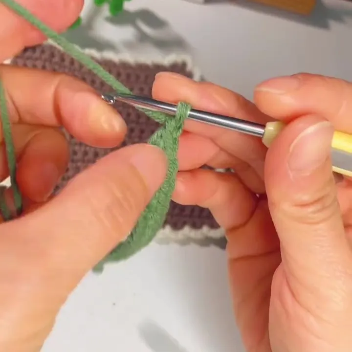 Chain 1 stitch to create a turning chain. Chain 1 stitch to create a turning chain.