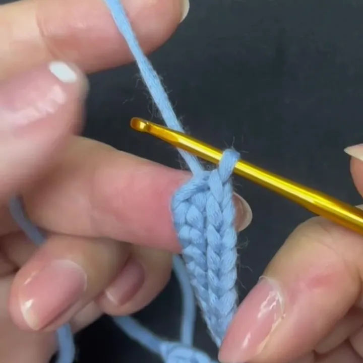 Chain 1 to finish, pull up the loop and cut the yarn.