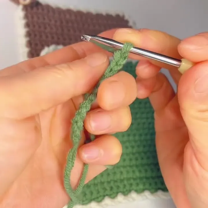Make 11 chain stitches. Make 11 chain stitches.