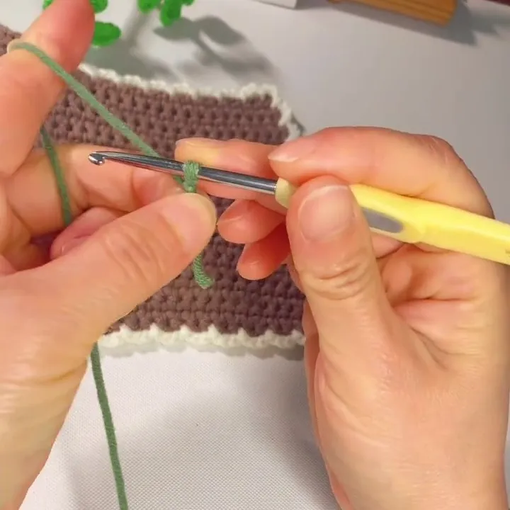 Make a slip knot and place it on your hook. Make a slip knot and place it on your hook.