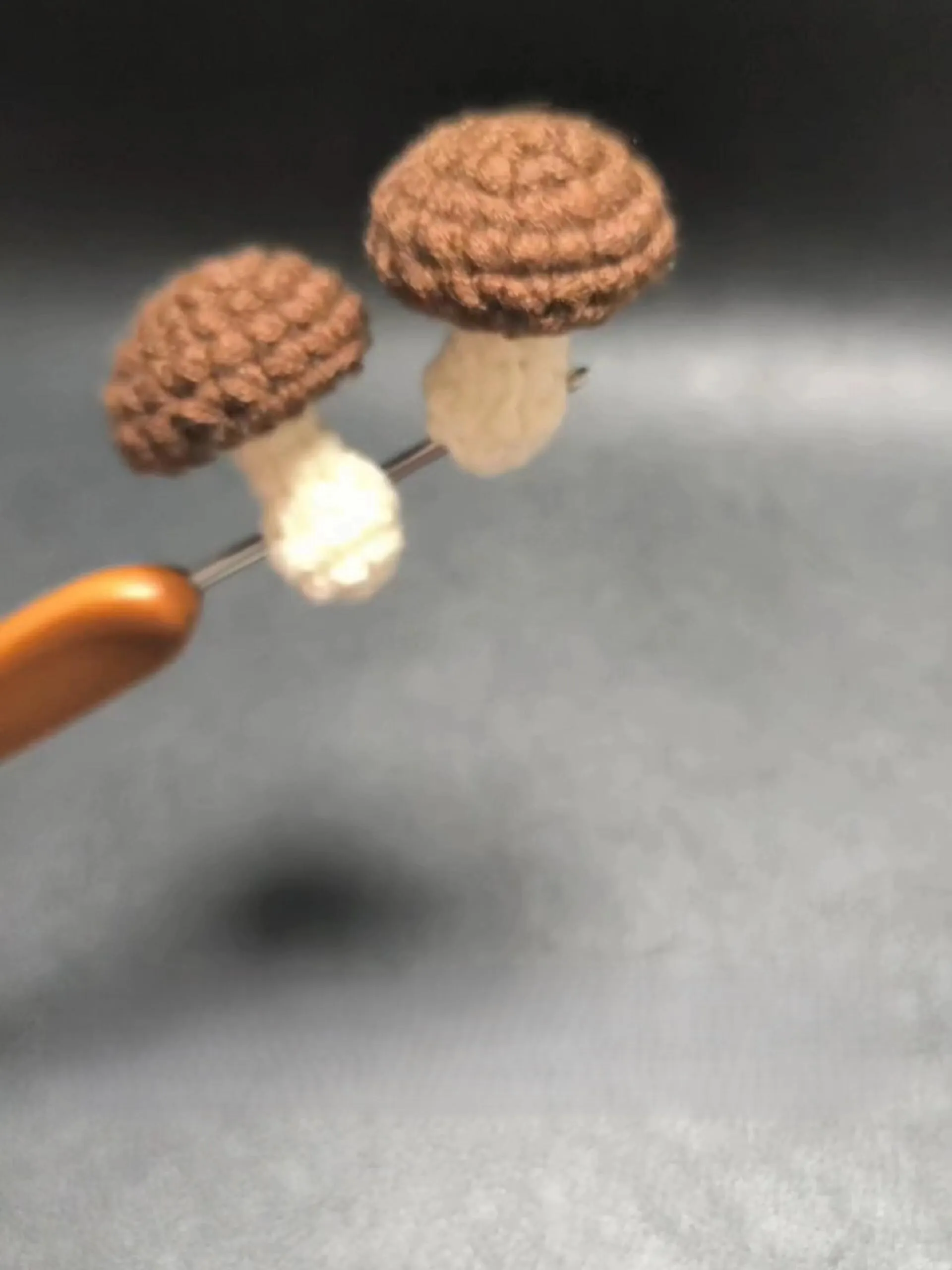 Easy Crochet Mushroom for Beginners (Free Pattern + Video) (2) Easy Crochet Mushroom for Beginners (Free Pattern + Video)